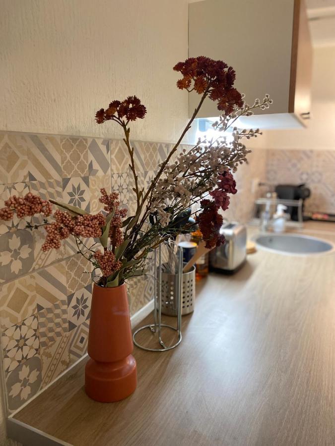 Апартаменты Les Cosy De Nancy - Le Duplex Vintage 4* Экстерьер фото